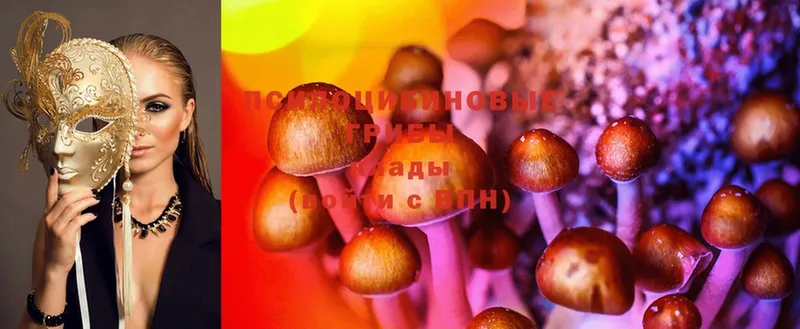 Псилоцибиновые грибы Cubensis  наркошоп  Верхнеуральск 